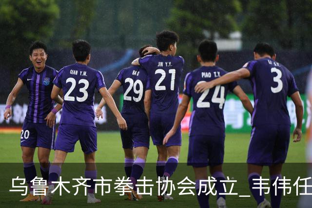 乌鲁木齐市拳击协会成立 韦伟任会长
